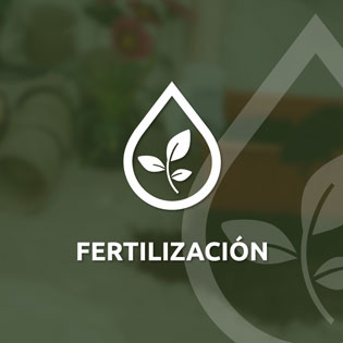 Productos e insumos para fertilización agrícola